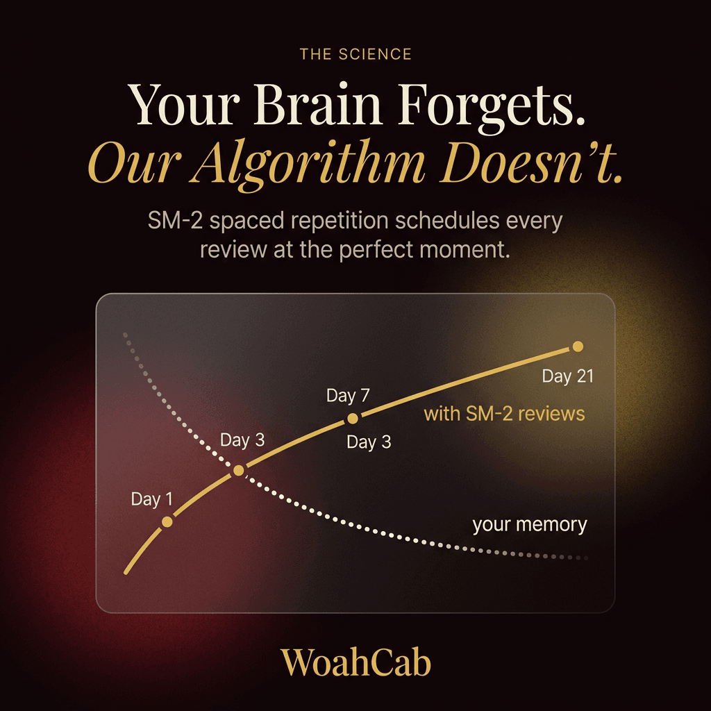 WoahCab Feature Flashcard Learning